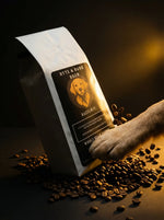 White coffee bag labeled Byte & Bark Brew® Hazelnut with scattered whole beans and a dog paw