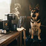Keurig brewing steaming coffee into enamel mug beside Byte & Bark Brew® pod box and curious German Shepherd